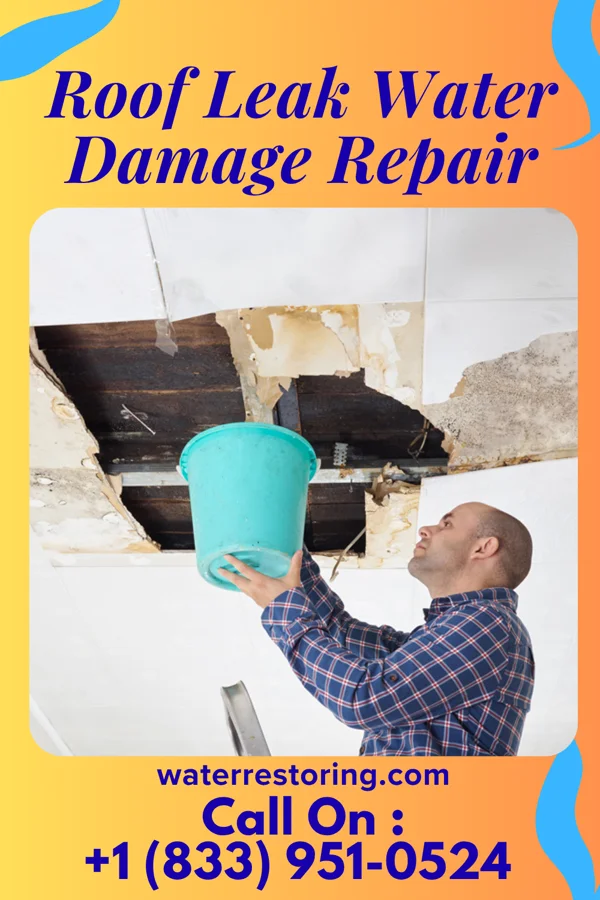 Roof Leak Water Damage Repair in Livonia, LA